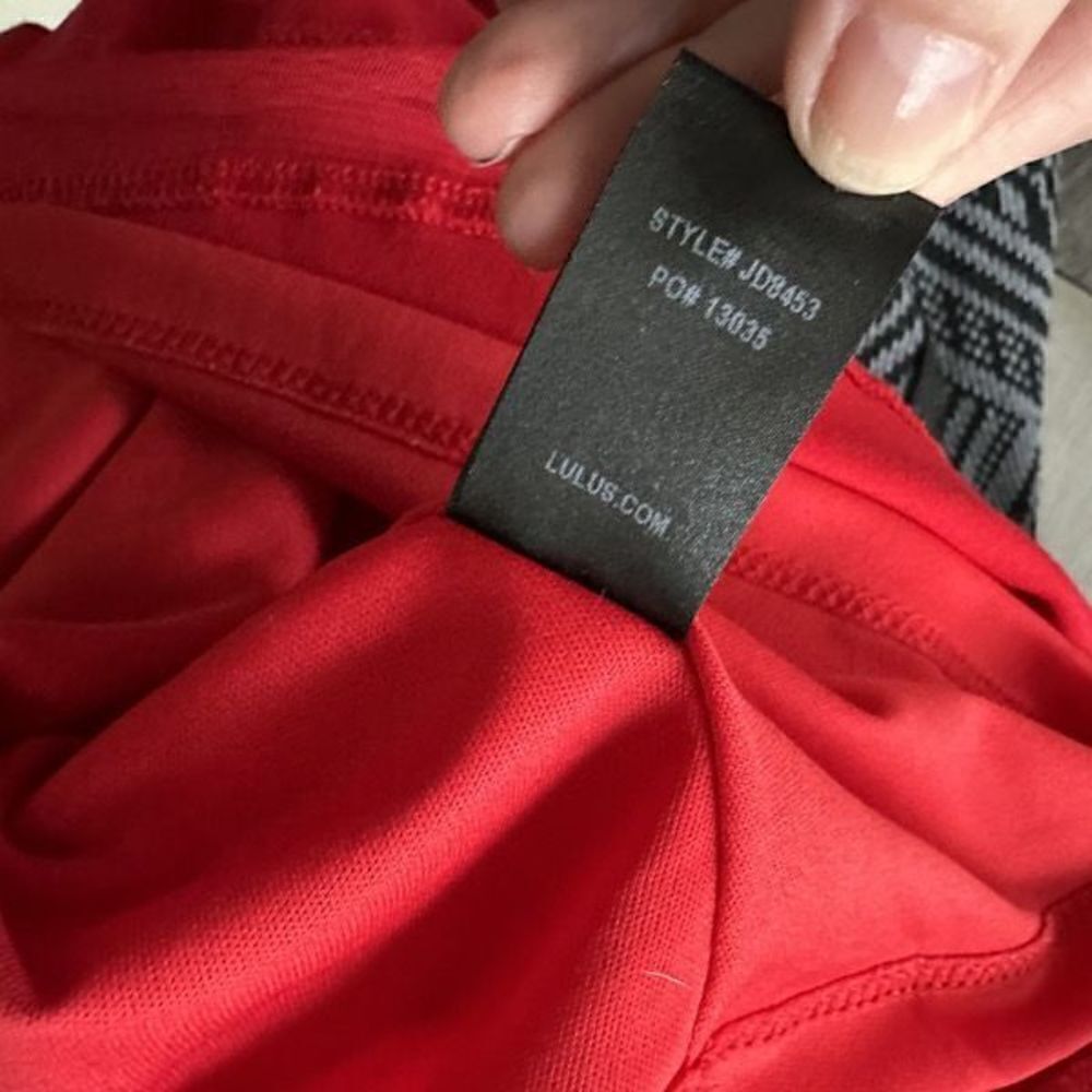 Lulu’s Sheer Factor Red Mesh Skater Dress - Picture 12 of 14